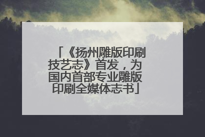 《扬州雕版印刷技艺志》首发，为国内首部专业雕版印刷全媒体志书