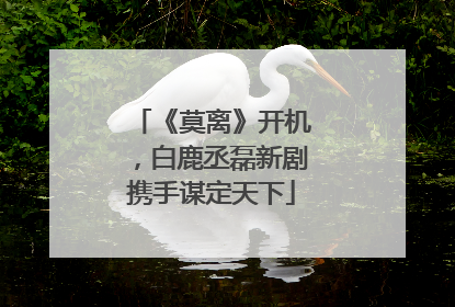 《莫离》开机，白鹿丞磊新剧携手谋定天下