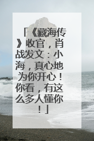 《藏海传》收官，肖战发文：小海，真心地为你开心！你看，有这么多人懂你！