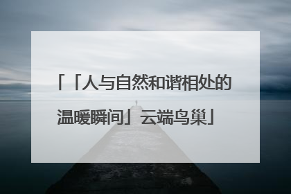 「人与自然和谐相处的温暖瞬间」云端鸟巢