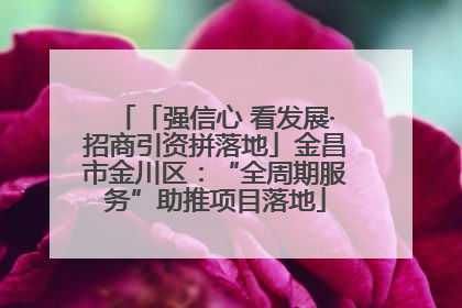 「强信心 看发展·招商引资拼落地」金昌市金川区：“全周期服务”助推项目落地