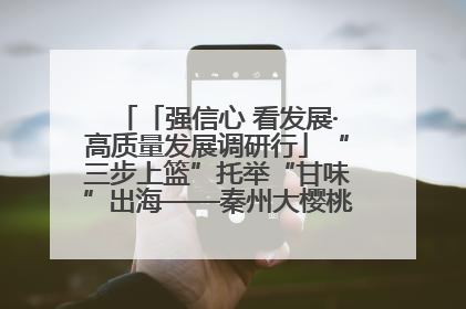 「强信心 看发展·高质量发展调研行」“三步上篮”托举“甘味”出海——秦州大樱桃高质量发展动作分解