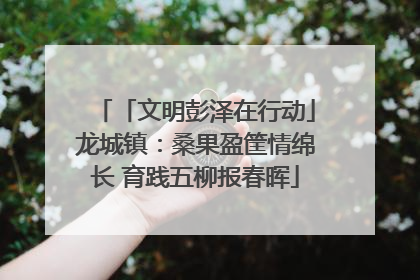 「文明彭泽在行动」龙城镇：桑果盈筐情绵长 育践五柳报春晖