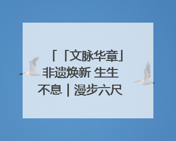 「文脉华章」非遗焕新 生生不息｜漫步六尺巷 感受礼让文化浸润的“巷”往生活