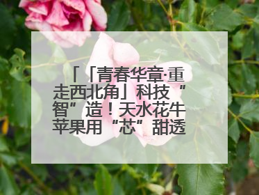 「青春华章·重走西北角」科技“智”造！天水花牛苹果用“芯”甜透你的味蕾