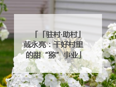 「驻村·助村」戴永亮：干好村里的甜“猕”事业
