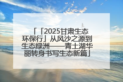 「2025甘肃生态环保行」从风沙之源到生态绿洲——青土湖华丽转身书写生态新篇