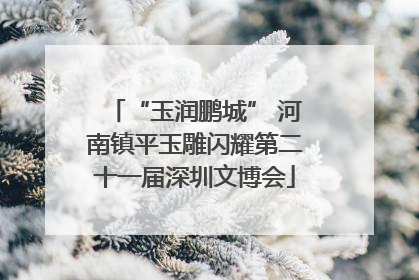 “玉润鹏城” 河南镇平玉雕闪耀第二十一届深圳文博会