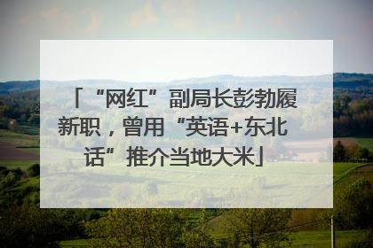 “网红”副局长彭勃履新职，曾用“英语+东北话”推介当地大米