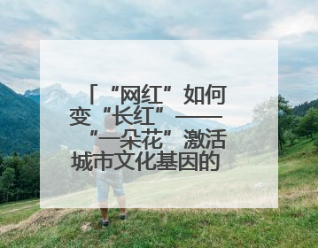 “网红”如何变“长红”——“一朵花”激活城市文化基因的破题之路