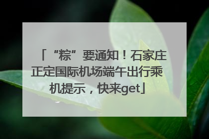 “粽”要通知！石家庄正定国际机场端午出行乘机提示，快来get