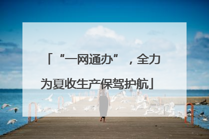 “一网通办”，全力为夏收生产保驾护航