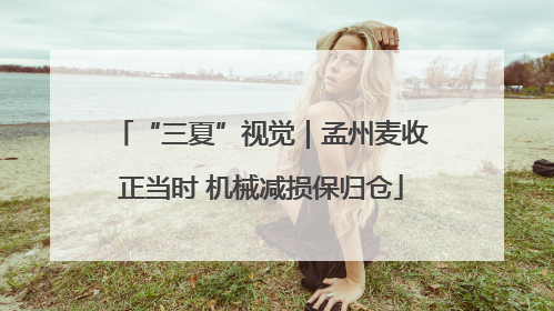 “三夏”视觉｜孟州麦收正当时 机械减损保归仓