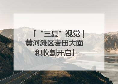 “三夏”视觉｜黄河滩区麦田大面积收割开启
