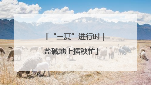 “三夏”进行时｜盐碱地上插秧忙