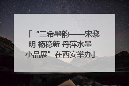 “三希墨韵——宋黎明 杨稳新 丹萍水墨小品展”在西安举办