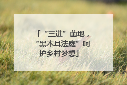 “三进”菌地，“黑木耳法庭”呵护乡村梦想