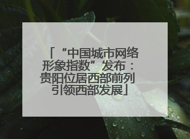 “中国城市网络形象指数”发布：贵阳位居西部前列 引领西部发展