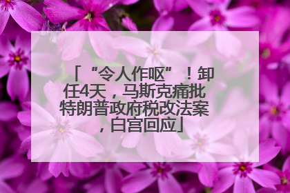 “令人作呕”！卸任4天，马斯克痛批特朗普政府税改法案，白宫回应