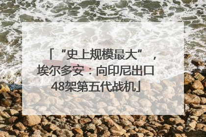 “史上规模最大”，埃尔多安：向印尼出口48架第五代战机
