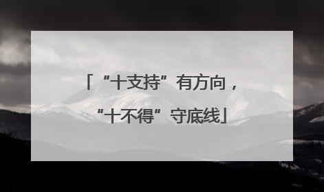“十支持”有方向，“十不得”守底线
