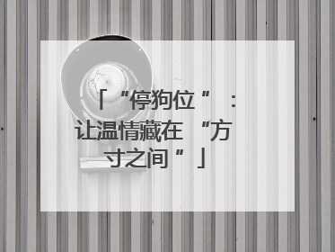 “停狗位 ”：让温情藏在 “方寸之间 ”
