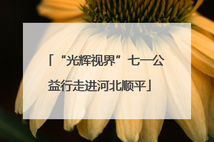 “光辉视界”七一公益行走进河北顺平