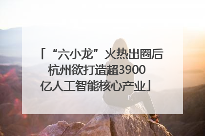 “六小龙”火热出圈后 杭州欲打造超3900亿人工智能核心产业