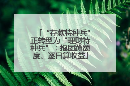 “存款特种兵”正转型为“理财特种兵”：抱团蹲额度、逐日算收益