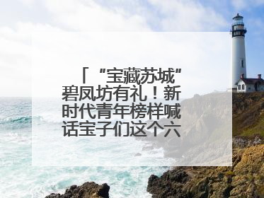 “宝藏苏城”碧凤坊有礼！新时代青年榜样喊话宝子们这个六一来平江街道
