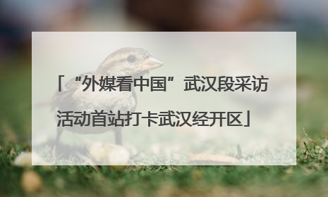 “外媒看中国”武汉段采访活动首站打卡武汉经开区