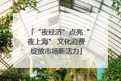 “夜经济”点亮“夜上海” 文化消费绽放市场新活力
