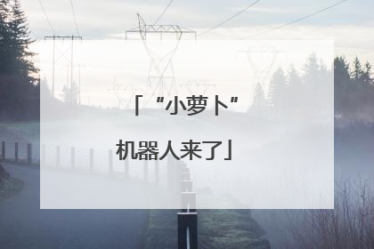 “小萝卜”机器人来了