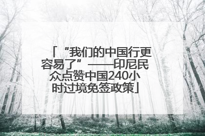 “我们的中国行更容易了”——印尼民众点赞中国240小时过境免签政策