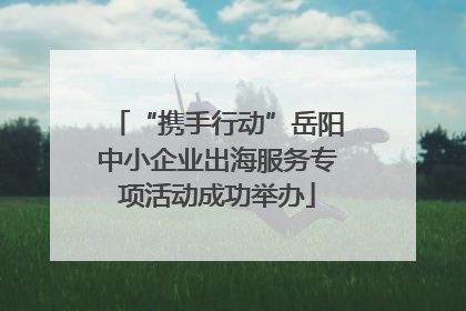 “携手行动”岳阳中小企业出海服务专项活动成功举办