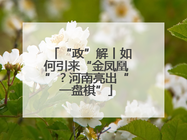 “政”解丨如何引来“金凤凰”？河南亮出“一盘棋”