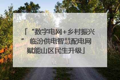 “数字电网+乡村振兴” 临汾供电智慧配电网赋能山区民生升级