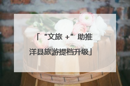 “文旅 +”助推洋县旅游提档升级