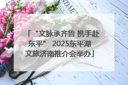 “文脉承齐鲁 携手赴东平” 2025东平湖文旅济南推介会举办