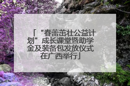 “春蕾茁壮公益计划”成长课堂暨助学金及装备包发放仪式在广西举行