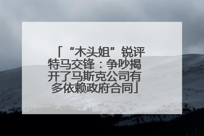 “木头姐”锐评特马交锋：争吵揭开了马斯克公司有多依赖政府合同
