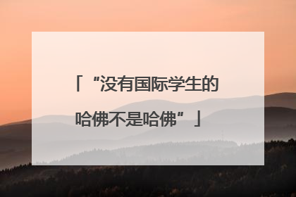 “没有国际学生的哈佛不是哈佛”