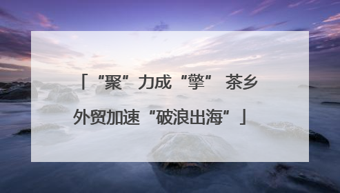 “聚”力成“擎” 茶乡外贸加速“破浪出海”