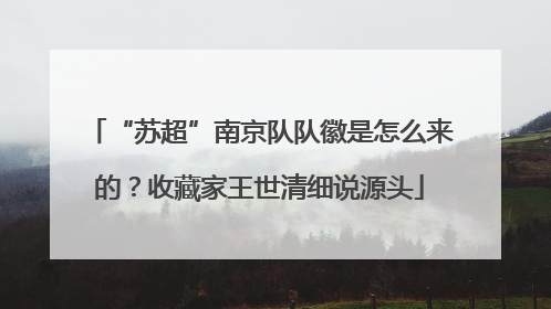 “苏超”南京队队徽是怎么来的？收藏家王世清细说源头