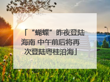 “蝴蝶”昨夜登陆海南 中午前后将再次登陆粤桂沿海