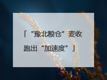 “豫北粮仓”麦收跑出“加速度”