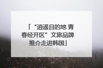“逍遥目的地 青春经开区”文旅品牌推介走进韩国