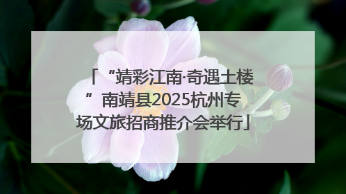 “靖彩江南·奇遇土楼”南靖县2025杭州专场文旅招商推介会举行