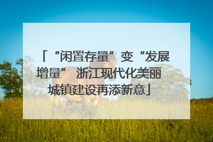 “闲置存量”变“发展增量” 浙江现代化美丽城镇建设再添新意