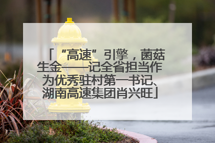 “高速”引擎，菌菇生金——记全省担当作为优秀驻村第一书记、湖南高速集团肖兴旺